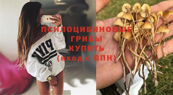 mdma Карпинск